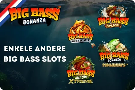 Populaire varianten van Big Bass series