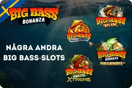 Populära versioner av Big Bass-serien